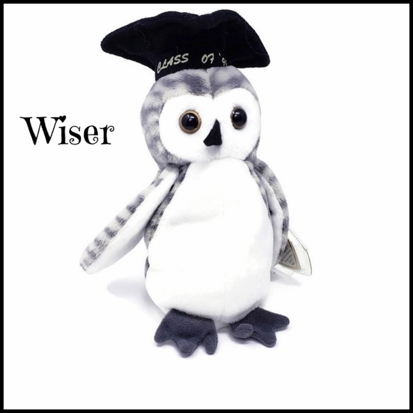 1999 - Vintage Ty Beanie Babies Collection "Wiser" Owl - Picture 1 of 7
